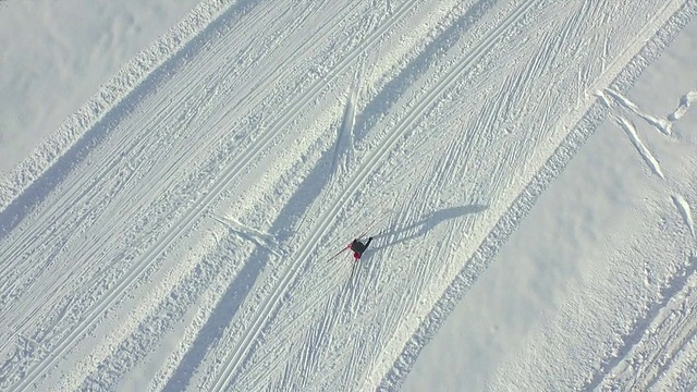图片:人们在冬季越野滑雪视频素材
