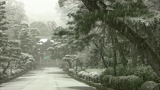 降雪在京都视频下载