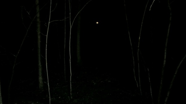 POV在夜晚穿过黑暗阴森的森林走向灯光视频素材