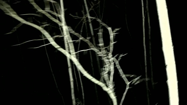 POV拍摄了在夜晚走过/跑过黑暗阴森的森林视频素材