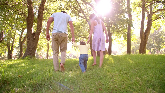 年轻的家庭手牵着手在阳光明媚的公园散步视频素材