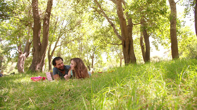 一对恩爱的夫妇愉快地分享在公园里的夏季野餐视频素材