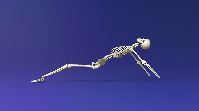 人体骨骼向上平板式视频素材