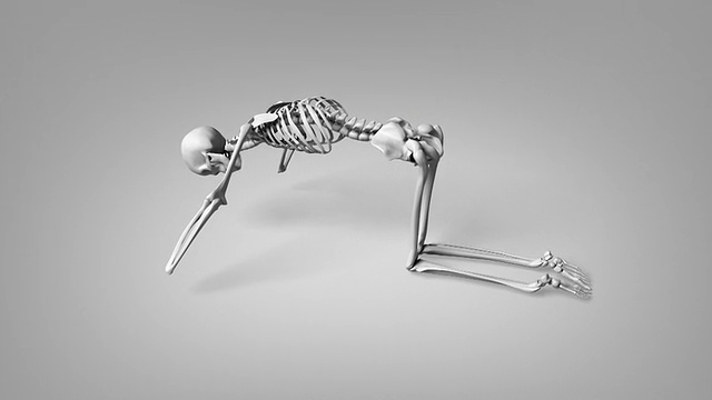 人体骨骼的瑜伽猫姿势视频素材