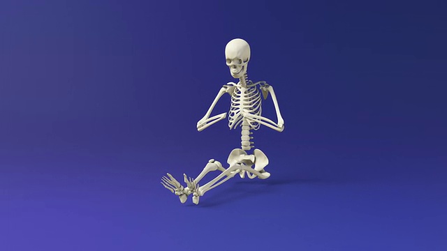人体骨骼的瑜伽冥想姿势视频素材