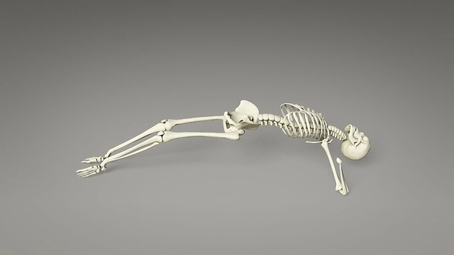 人体骨骼的瑜伽仰面姿势视频素材