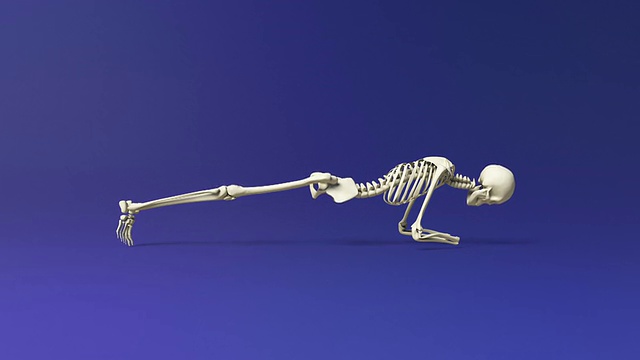 瑜伽海豚式人体骨骼支撑姿势视频素材