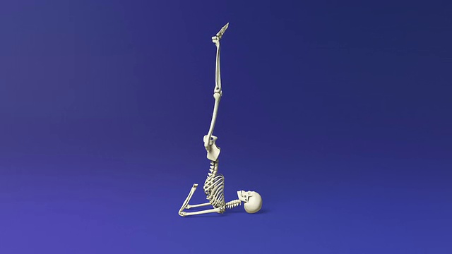 人体骨骼的瑜伽肩膀站立姿势视频下载