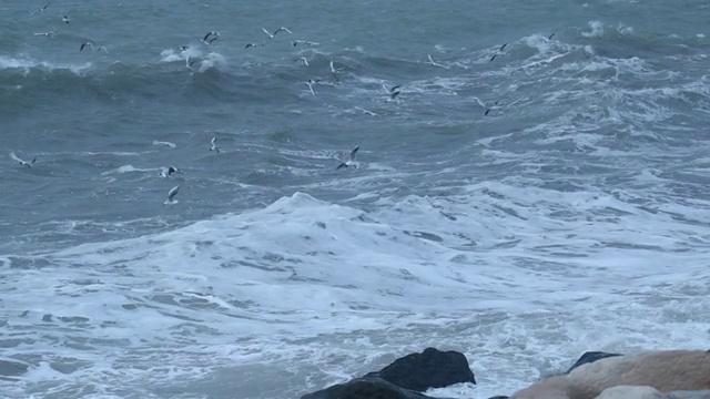 海浪飞溅，大风吹袭港口码头视频素材