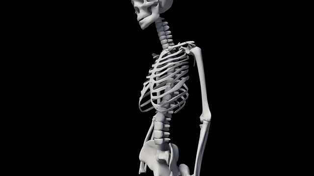 人类骨骼系统视频素材