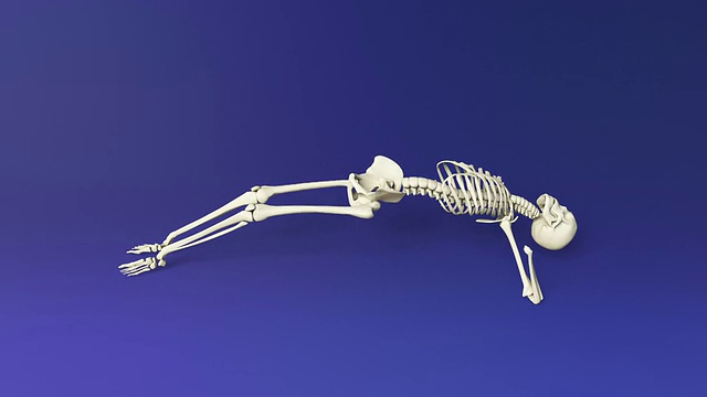人体骨骼的瑜伽仰面姿势视频下载