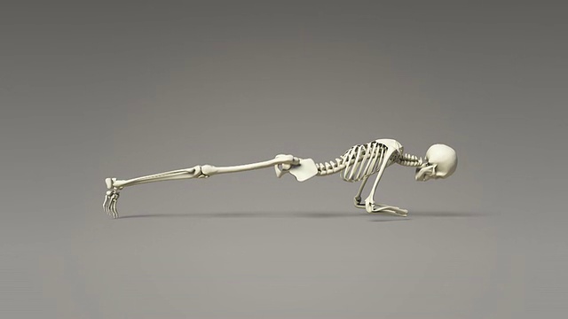 瑜伽海豚式人体骨骼支撑姿势视频下载
