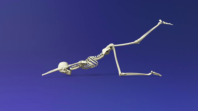 人类骨骼的延伸小狗姿势视频下载