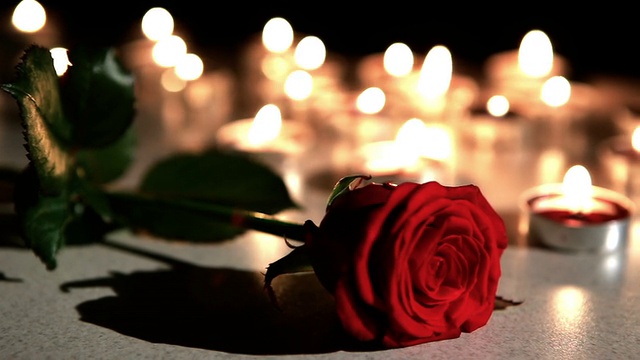 浪漫气氛:玫瑰蜡烛视频下载