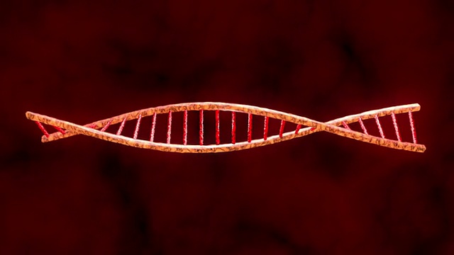 人类的DNA。3 d动画。视频素材
