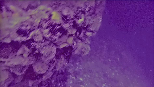 博斯普鲁斯海峡下捕鱼的海螺视频素材