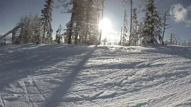 高清视频:滑雪者在雪域森林中下山视频素材