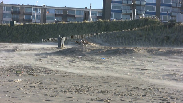 海滩上的风暴视频下载