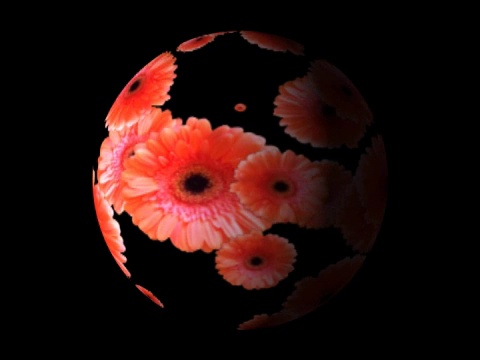 红色的花在一个球-数字动画视频下载