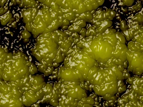 绿色沼泽粘粘-数字动画视频下载