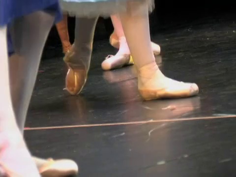 芭蕾舞视频下载