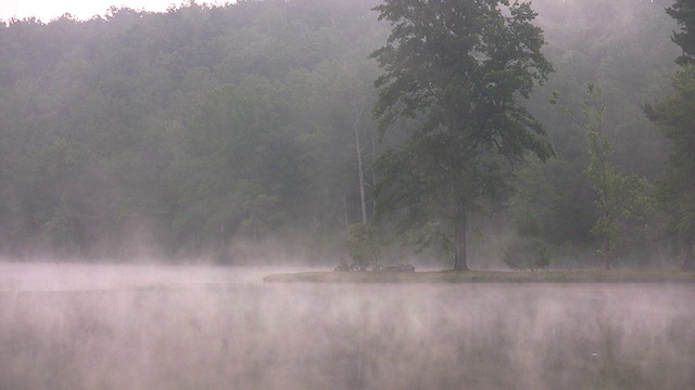 湖面上起了晨雾视频下载