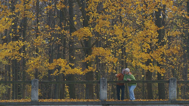 秋天站在树上的女人视频素材