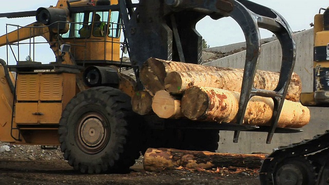 一堆木材被拖走视频下载