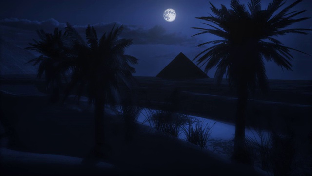 月光夜晚的月亮在金字塔埃及绿洲与棕榈树视频下载