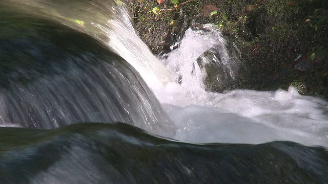 森林中的小瀑布视频素材