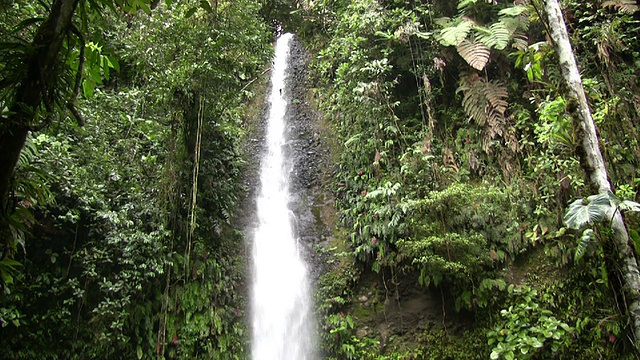 厄瓜多尔热带雨林中的瀑布视频素材