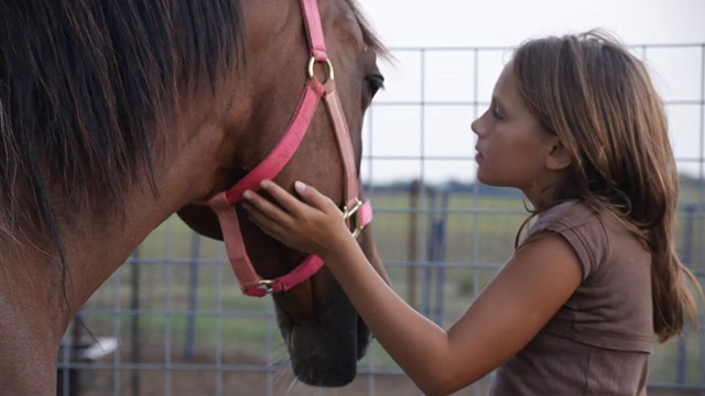 女孩正在给她的马梳头视频素材
