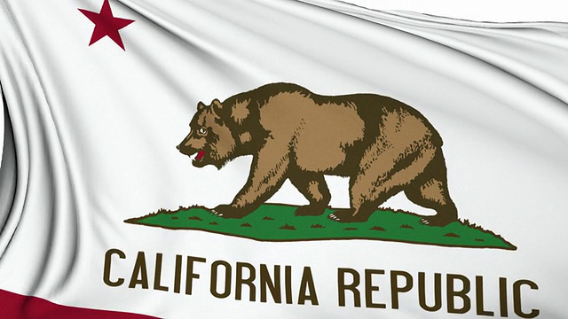 加州的旗帜视频素材