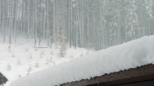 大雪降临在圣诞树和木屋的背景上视频素材