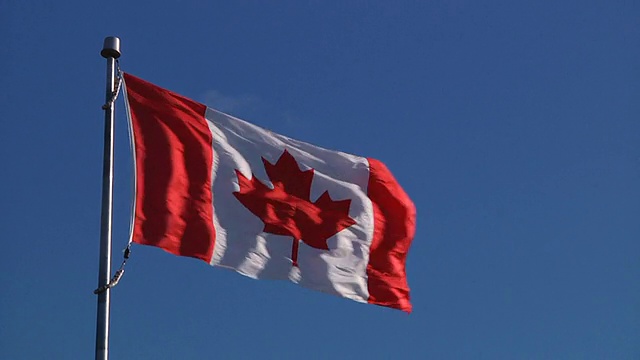 加拿大国旗迎风飘扬视频素材