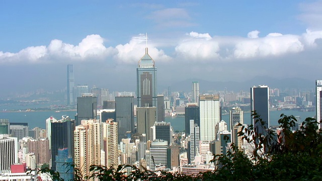 香港城市景观(详情)视频素材
