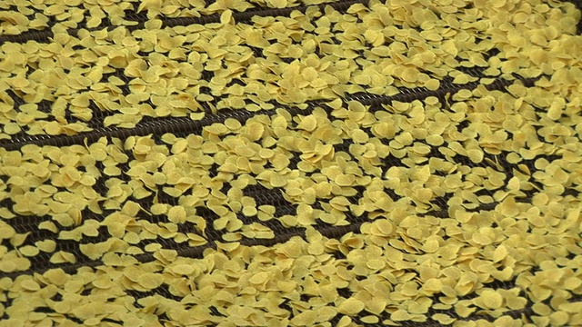 玉米片的生产视频素材