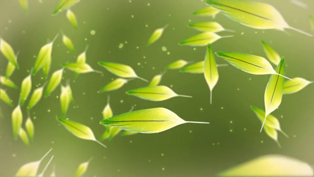 色彩缤纷的羽毛衬着绿色视频素材