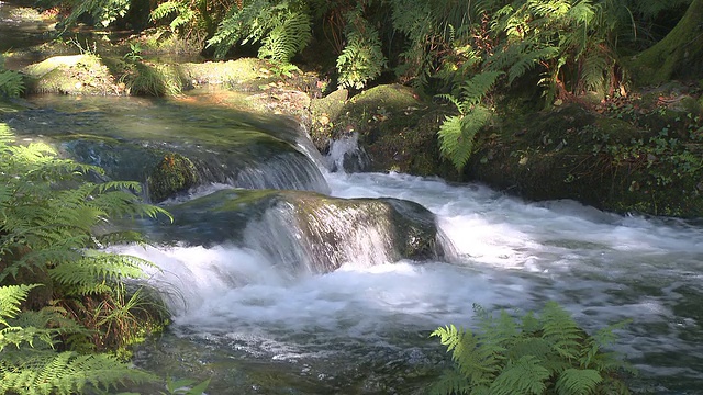 纯净的淡水瀑布在山上视频素材