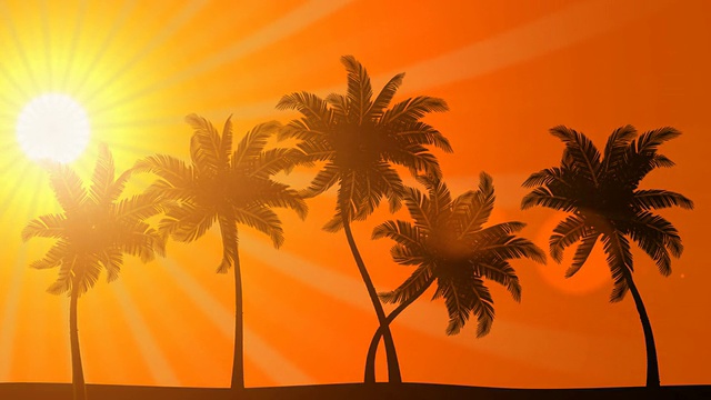 棕榈树与太阳(动画高清背景)视频下载
