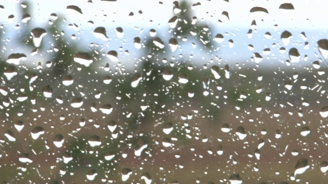 下雨的窗口(ДОЖДЬ)视频下载