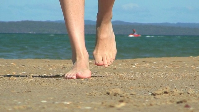 海滩上的脚视频下载