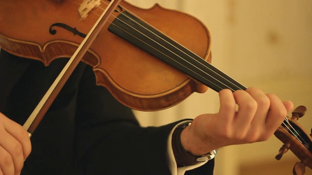 小提琴家。视频下载