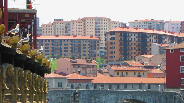 海鸥俯瞰古城毕尔巴鄂视频素材