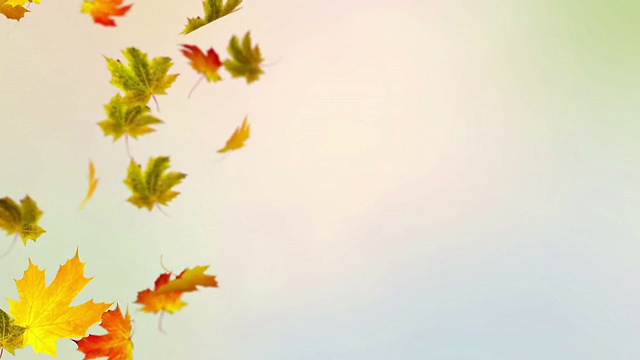 色彩斑斓的秋天视频下载