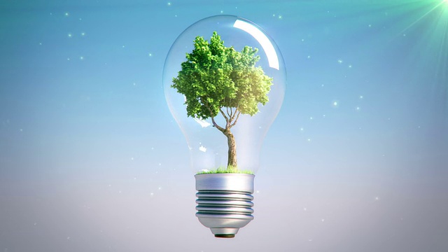 绿色能源灯泡树环视频下载