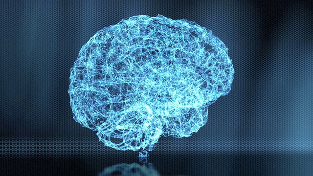 分析人类大脑的慢循环蓝色视频下载