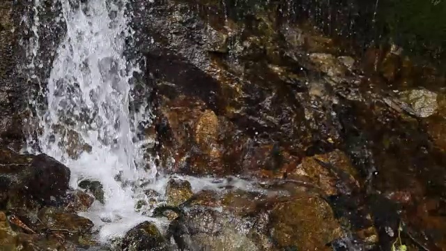 森林瀑布的特写视频素材