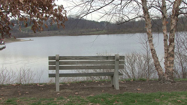 湖边长椅视频素材
