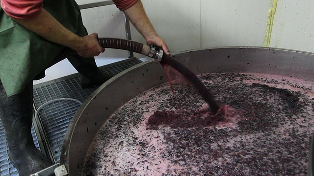 葡萄酒发酵视频素材